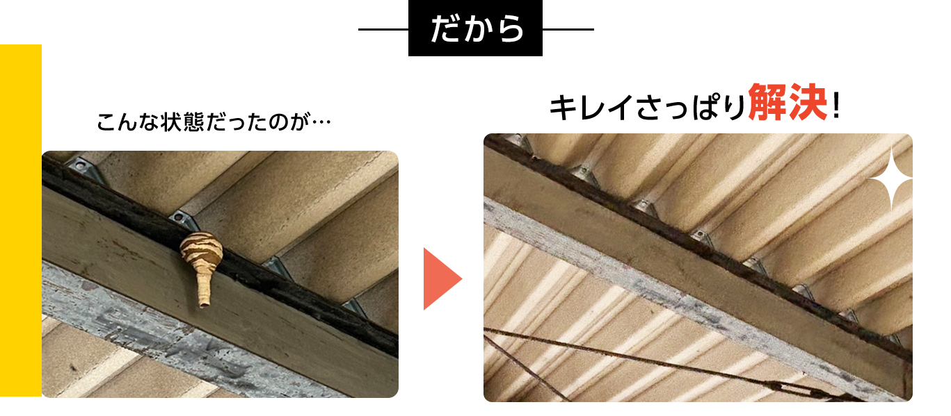 こんな状態だったのが・・・キレイさっぱり解決！・害虫駆除・ゴキブリ駆除・ノミ駆除・トコジラミ駆除・害虫業者・ゴキブリ業者・ノミ業者・トコジラミ業者