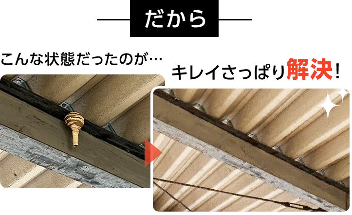 こんな状態だったのが・・・キレイさっぱり解決！・害虫駆除・ゴキブリ駆除・ノミ駆除・トコジラミ駆除・害虫業者・ゴキブリ業者・ノミ業者・トコジラミ業者