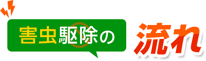 害虫駆除の流れ・害虫駆除・ゴキブリ駆除・ノミ駆除・トコジラミ駆除・害虫業者・ゴキブリ業者・ノミ業者・トコジラミ業者