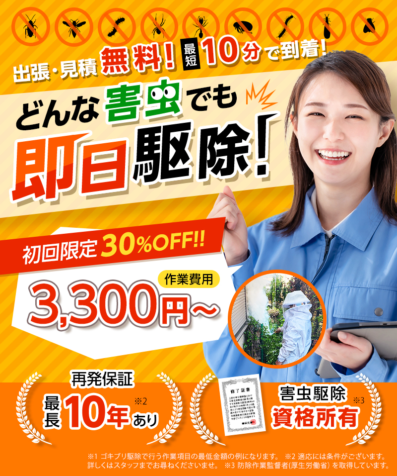 出張・見積無料！最短10分で到着！どんな害虫でも即日駆除！初回限定30%OFF!!作業費用3,300円～ 再発保証最長10年あり害虫駆除資格所有