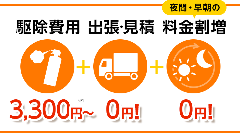 駆除費用3,300円～/出張・見積0円！/夜間・早朝の料金割増0円！