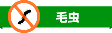 毛虫駆除のアイコン・害虫駆除・ゴキブリ駆除・ノミ駆除・トコジラミ駆除・害虫業者・ゴキブリ業者・ノミ業者・トコジラミ業者