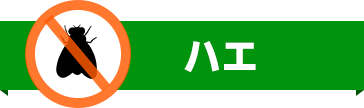 ハエ駆除のアイコン・害虫駆除・ゴキブリ駆除・ノミ駆除・トコジラミ駆除・害虫業者・ゴキブリ業者・ノミ業者・トコジラミ業者