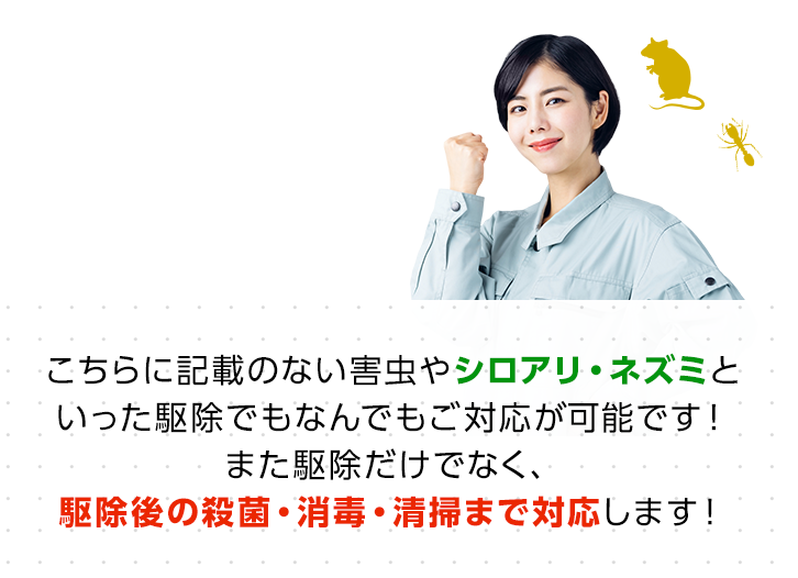 こちらに記載のない害虫やシロアリ・ネズミといった駆除でもなんでもご対応が可能です！また駆除だけでなく、駆除後の殺菌・消毒・清掃まで対応します！・害虫駆除・ゴキブリ駆除・ノミ駆除・トコジラミ駆除・害虫業者・ゴキブリ業者・ノミ業者・トコジラミ業者