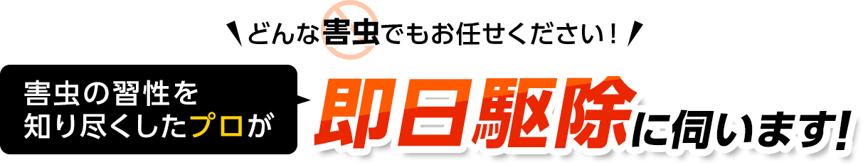 どんな害虫でもお任せください！害虫の習性を知り尽くしたプロが即日駆除に伺います！・ゴキブリ・ムカデ・ハチ・毛虫・ハエ・クモ・ナメクジ・ダニ・ノミ・トコジラミ・シロアリ・ネズミ