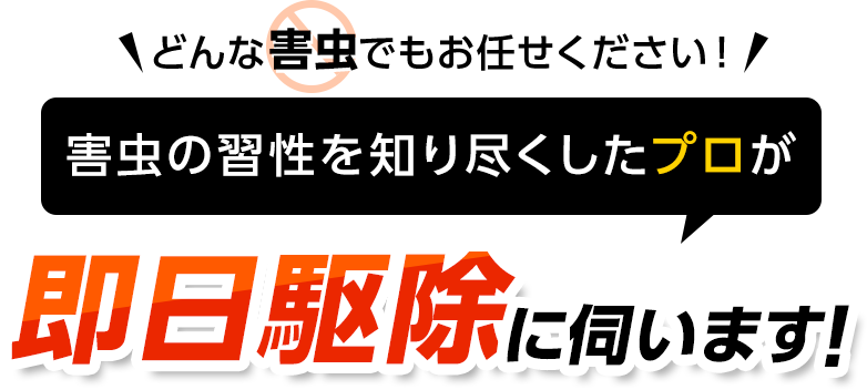 どんな害虫でもお任せください！害虫の習性を知り尽くしたプロが即日駆除に伺います！・ゴキブリ・ムカデ・ハチ・毛虫・ハエ・クモ・ナメクジ・ダニ・ノミ・トコジラミ・シロアリ・ネズミ